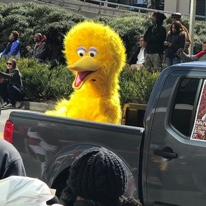 Meet your Posher, Deanna